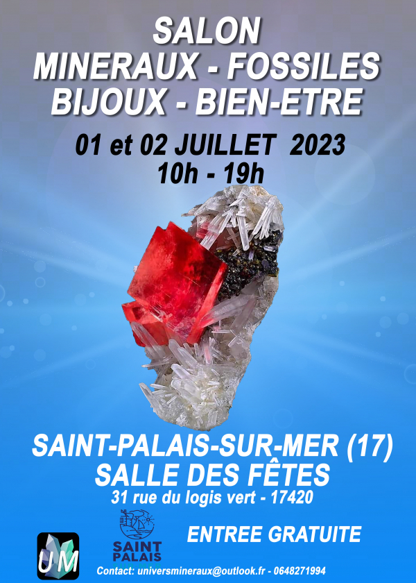 Feria de minerales, fósiles, bisutería y bienestar.