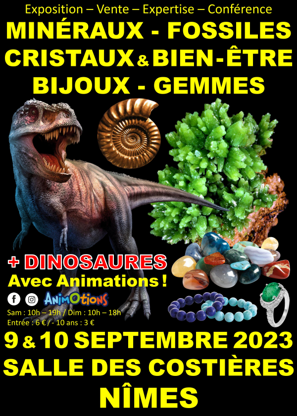 Fósil Minerales Gemas Cristales Feria