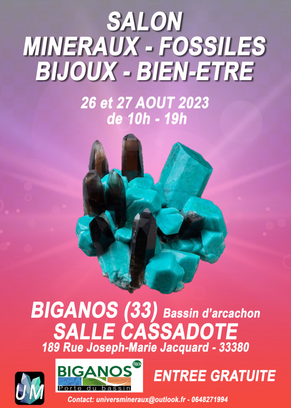 Feria de minerales, fósiles, bisutería y bienestar.