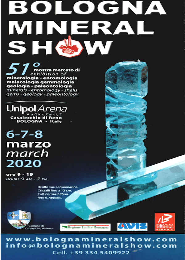 51o show de minerales de Bolonia 2020