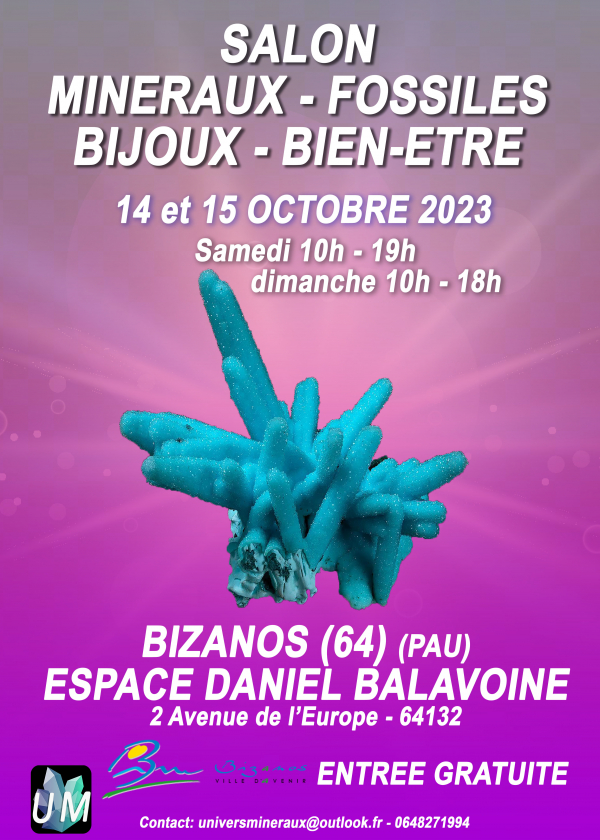 Feria de minerales, fósiles, joyería de diseño y bienestar.