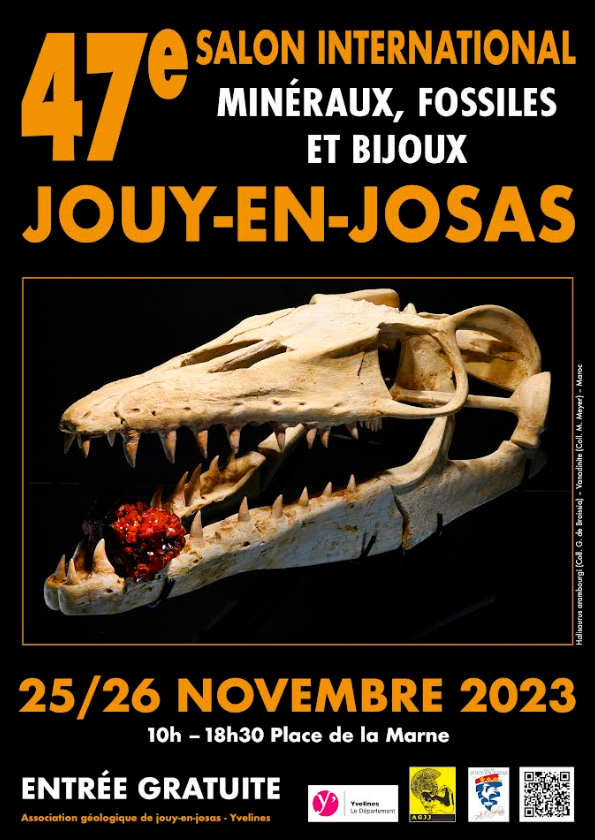 Exposición internacional de minerales, fósiles y joyas.