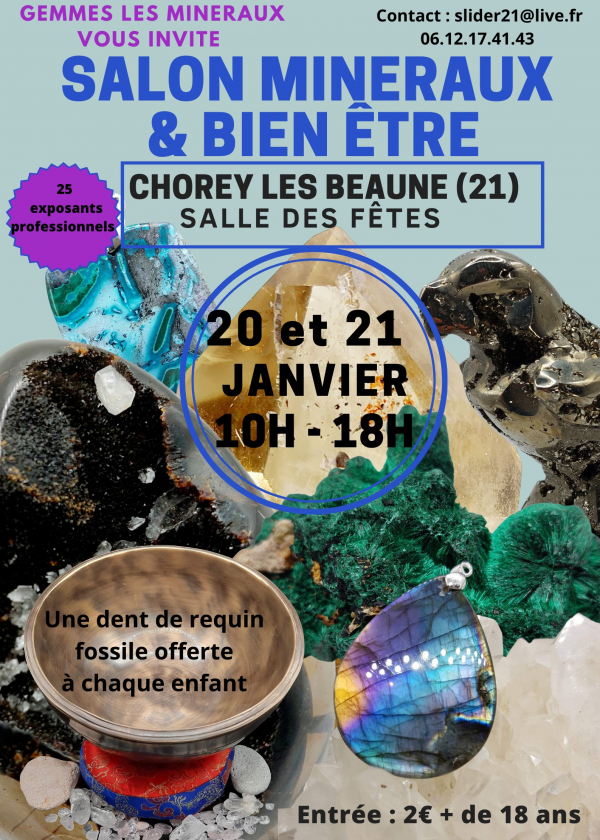 Espectáculo de minerales, fósiles, meteoritos y bienestar.