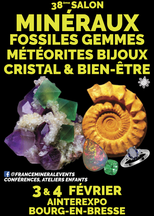38° Salón de los MineralesEvento Bourg-en-Bresse