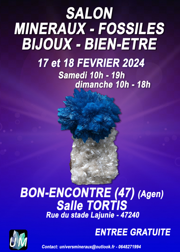 Feria de minerales, fósiles, joyería de diseño y bienestar.