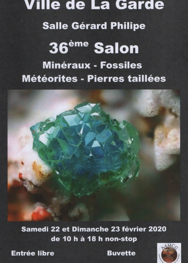 36º intercambio de minerales y fósiles