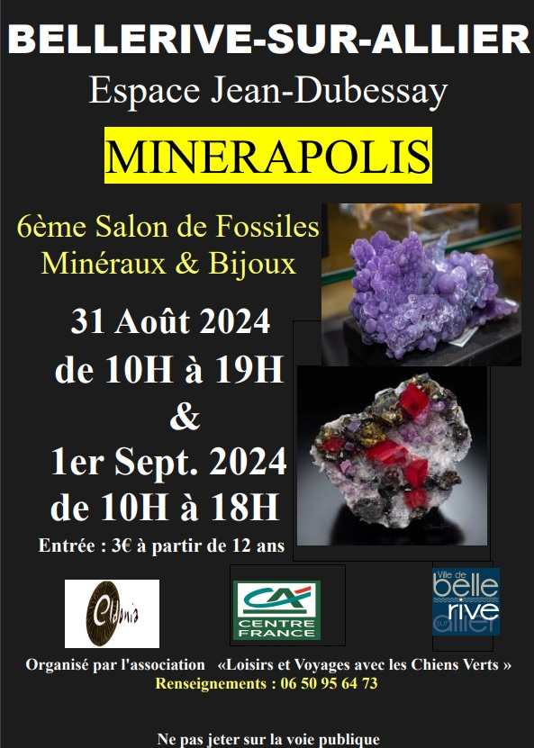 VI Salón de Fósiles - Minerales - Gemas y Joyería