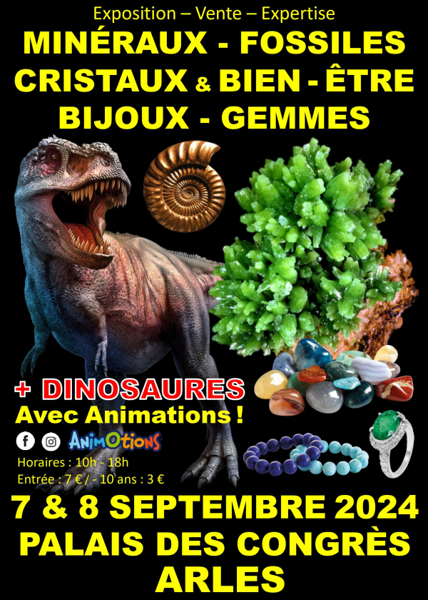 Minerales Fósiles Cristales y Bienestar Salón Joyas y Gemas + Exposición de Dinosaurios