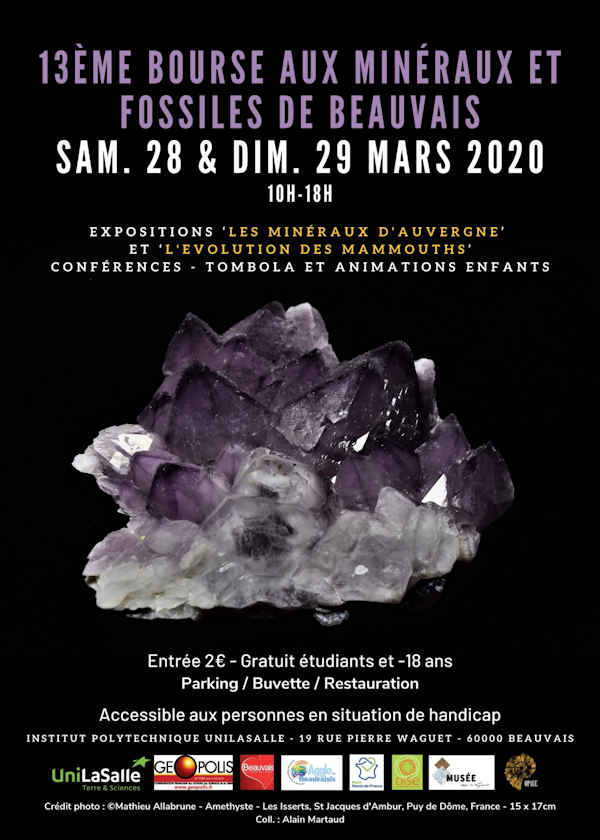 13 ° intercambio de minerales y fósiles