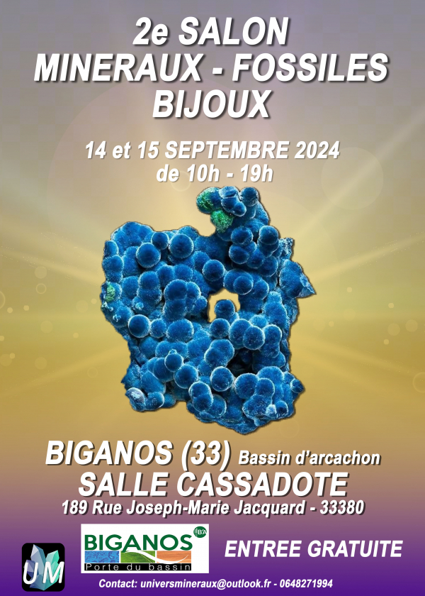 Minerales, fósiles, exposición de joyería de diseño