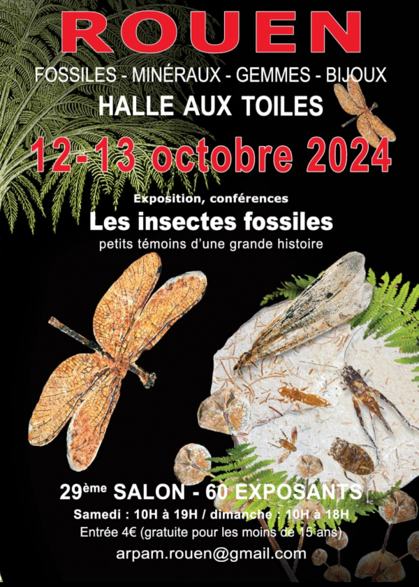 29ª Exposición Internacional de Rouen 2024 Fósiles, minerales, gemas y joyas