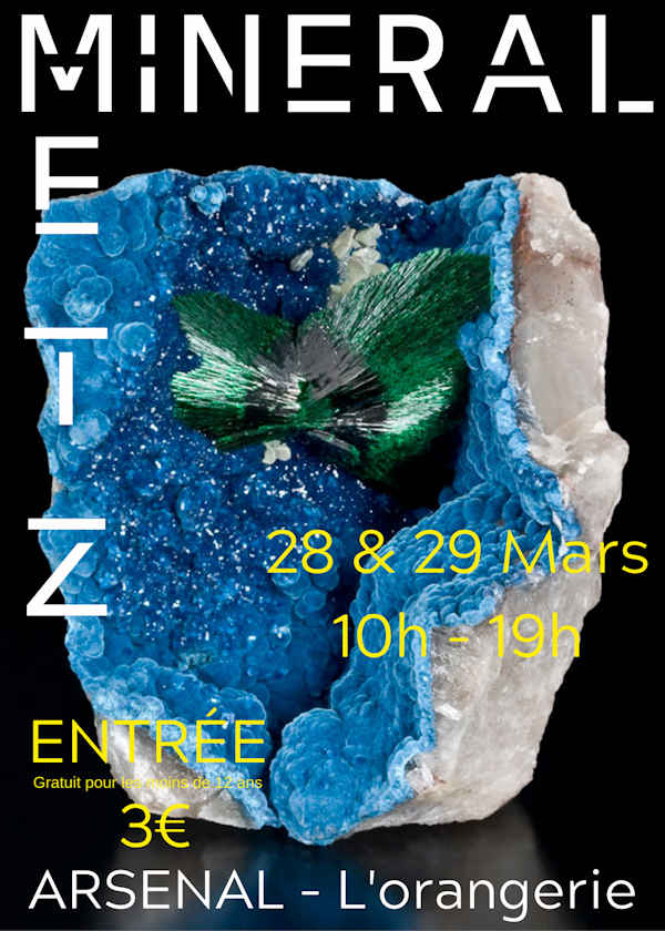 Feria de minerales, fósiles y gemas.