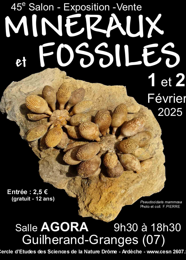 45º Intercambio de Minerales y Fósiles de Guilherand-Granges