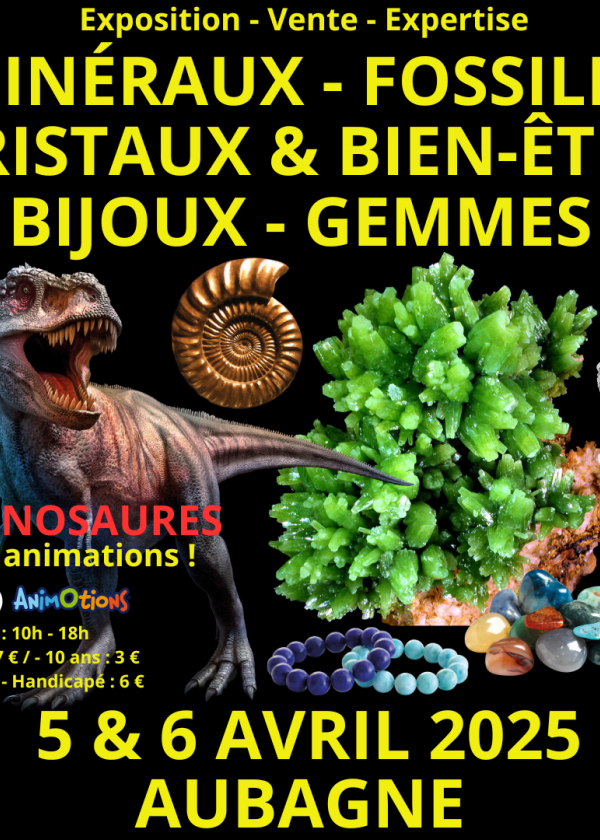 IV Salón de Minerales, Fósiles, Cristales, Bienestar, Joyas y Gemas