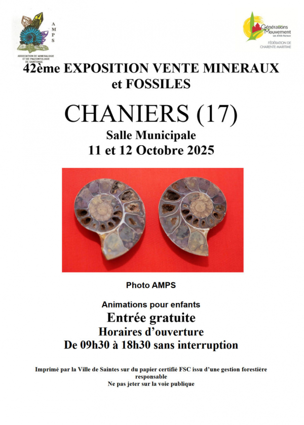 VENTA DE LA 42ª EXPOSICIÓN DE MINERALES Y FÓSILES