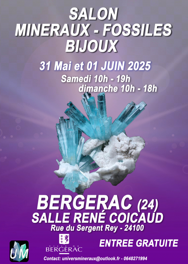 Exposición de minerales, fósiles y joyería de diseño.