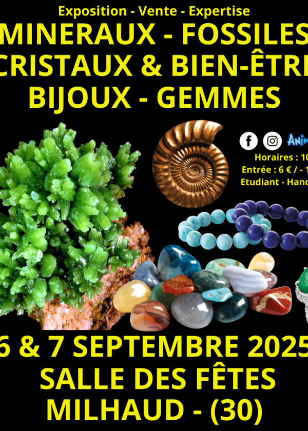 Feria de Minerales, Fósiles, Cristales y Bienestar: Joyas y Gemas en Nimes