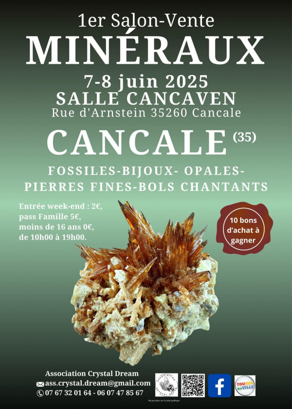 1ª edición de la feria de venta de minerales, fósiles y joyas 1ª edición de la feria de venta de minerales, fósiles y joyas