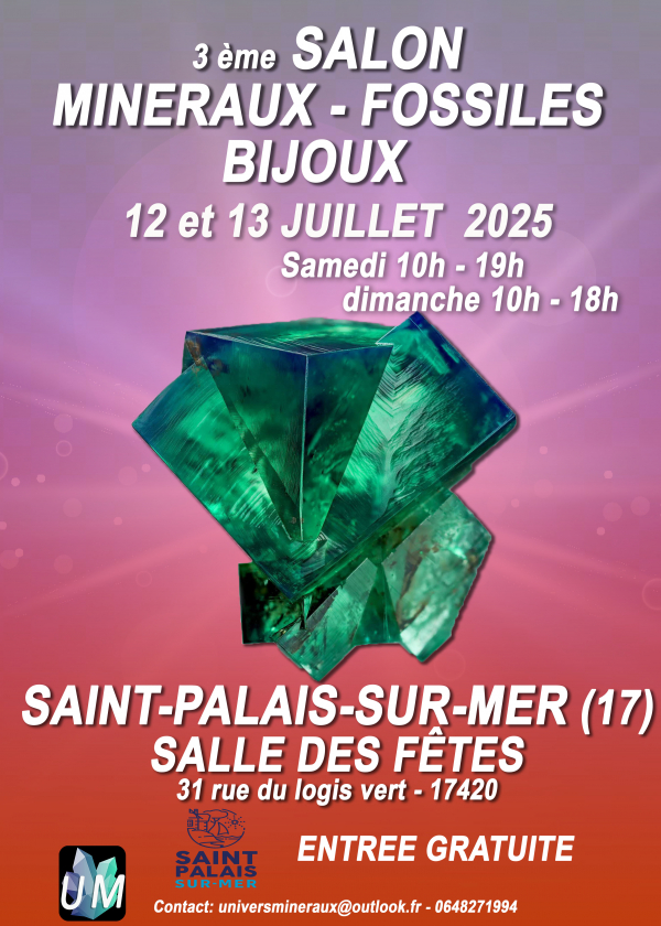 Exposición de minerales, fósiles y joyería de diseño.