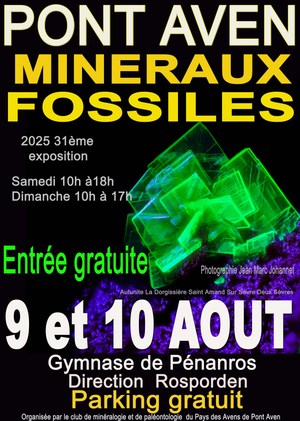 Exposición, venta e intercambio de minerales y fósiles.