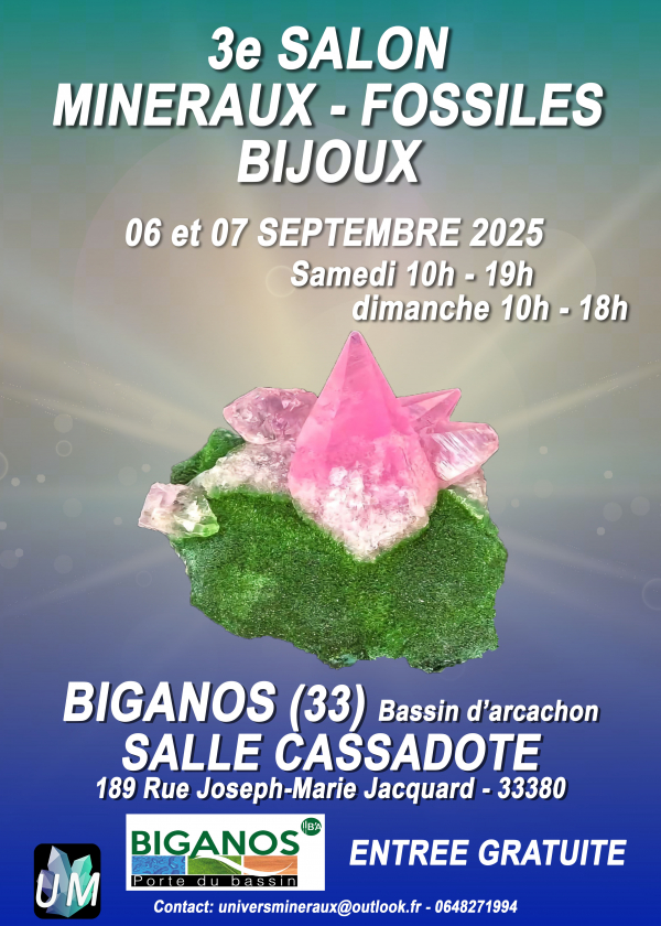 Exposición de minerales, fósiles y joyería de diseño.