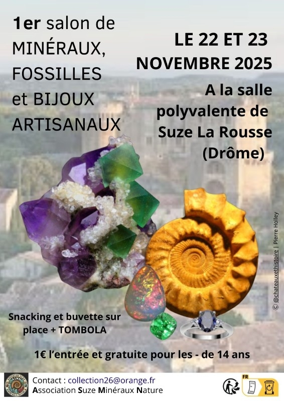 Intercambio de minerales, fósiles y joyas artesanales