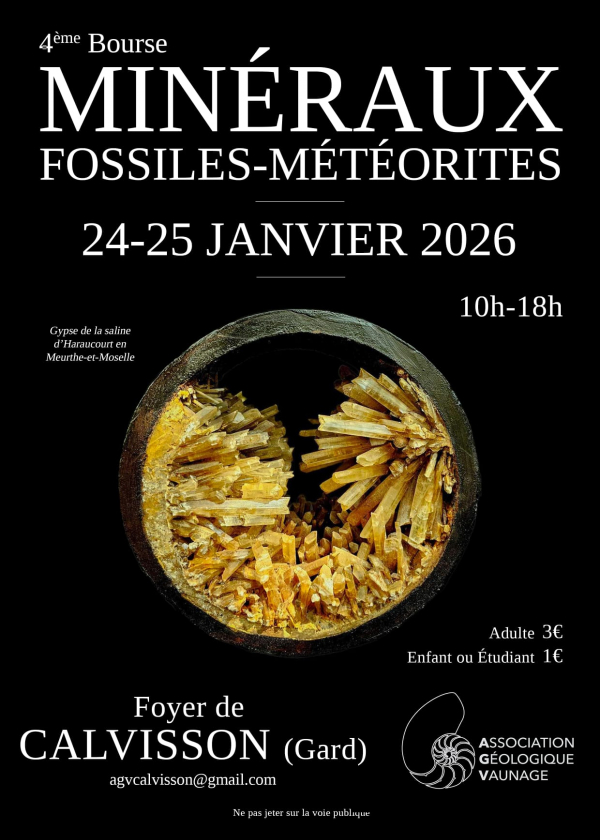 IV Feria de Minerales, Fósiles y Meteoritos