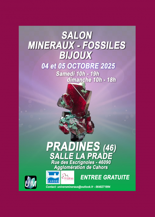 Exposición de minerales, fósiles y joyería de diseño.