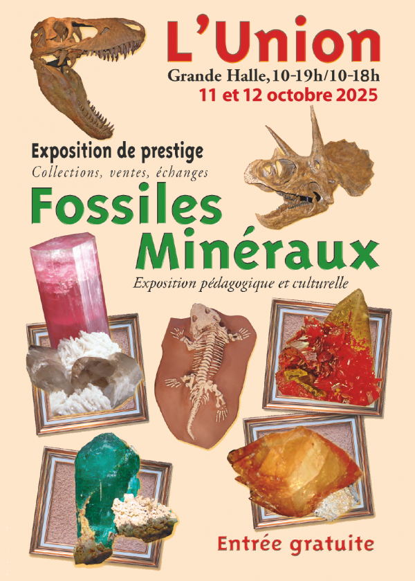 23.ª Exposición de Minerales y Fósiles de la Unión