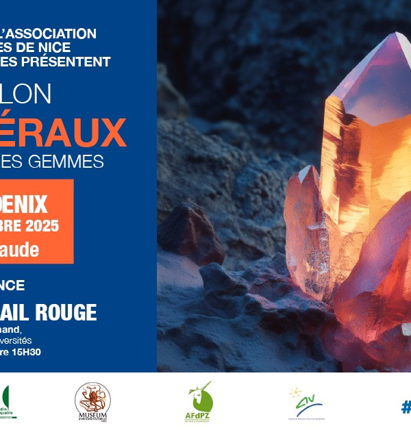 40ª Feria de Minerales, Fósiles y Gemas