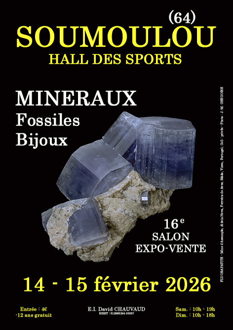 XVI Salón de Minerales, Fósiles y Joyas