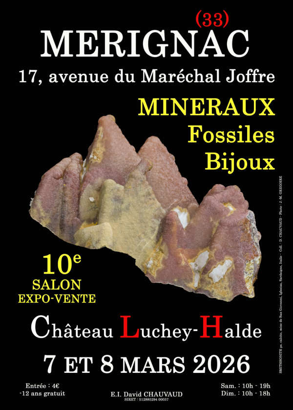 10º Salón de Minerales, Fósiles y Joyas