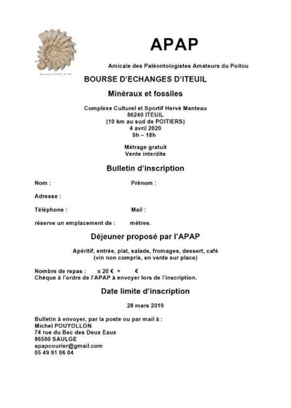 Intercambio de fósiles y minerales.