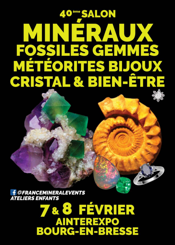 40° Salón de los Minerales de Bourg-en-Bresse