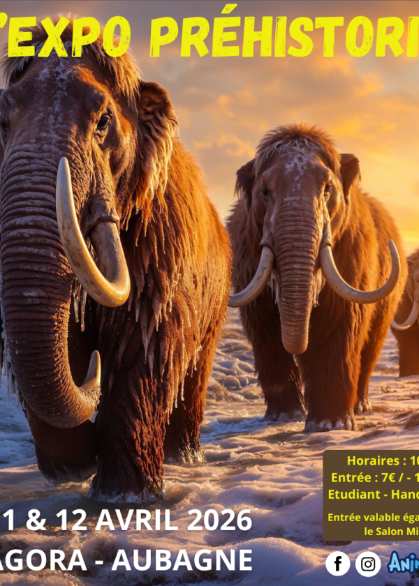 La Expo Prehistórica