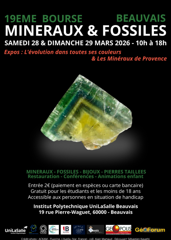 Intercambio de minerales y fósiles