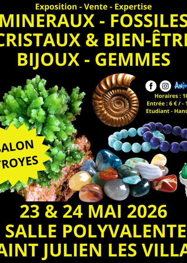 2ª Feria de Minerales y Fósiles de Troyes