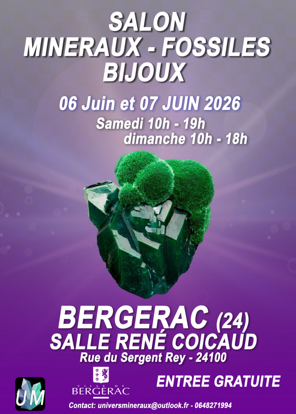 Exposición de minerales, fósiles y joyería de diseño.