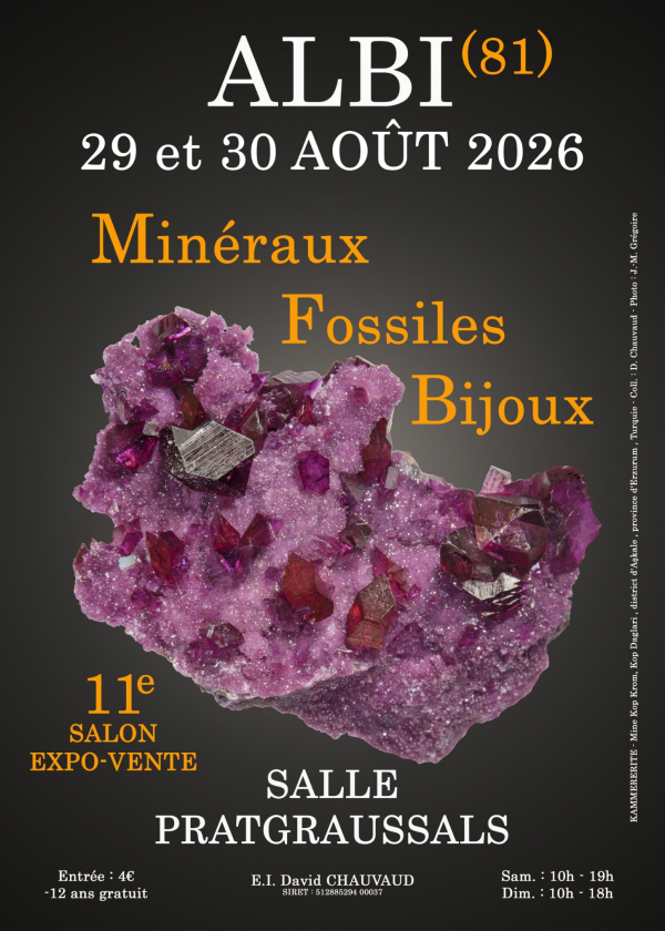 11.ª Feria de Minerales, Fósiles y Joyería