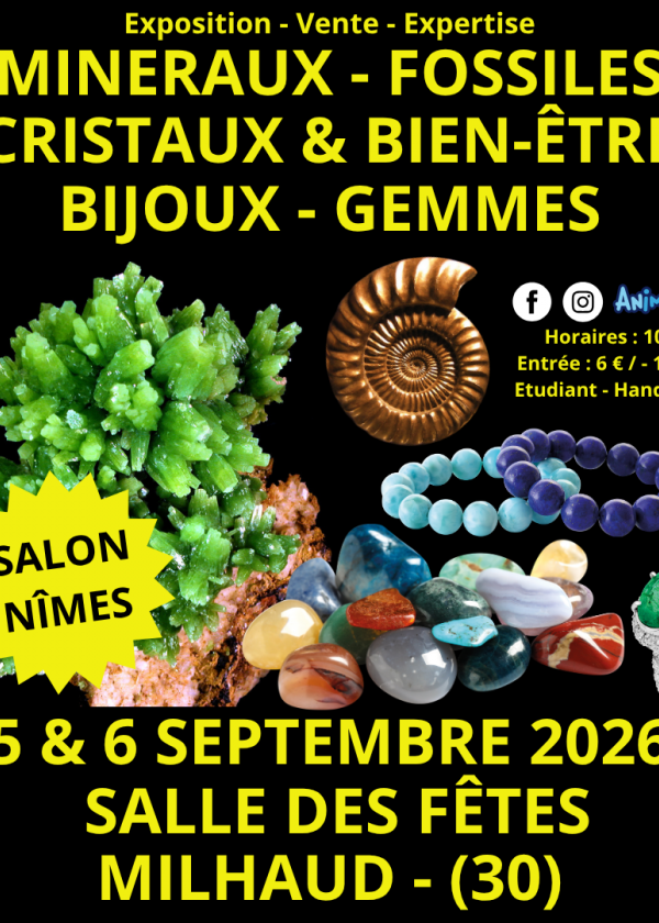Exposición de minerales, fósiles y cristales