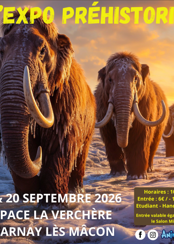 La Exposición Prehistórica