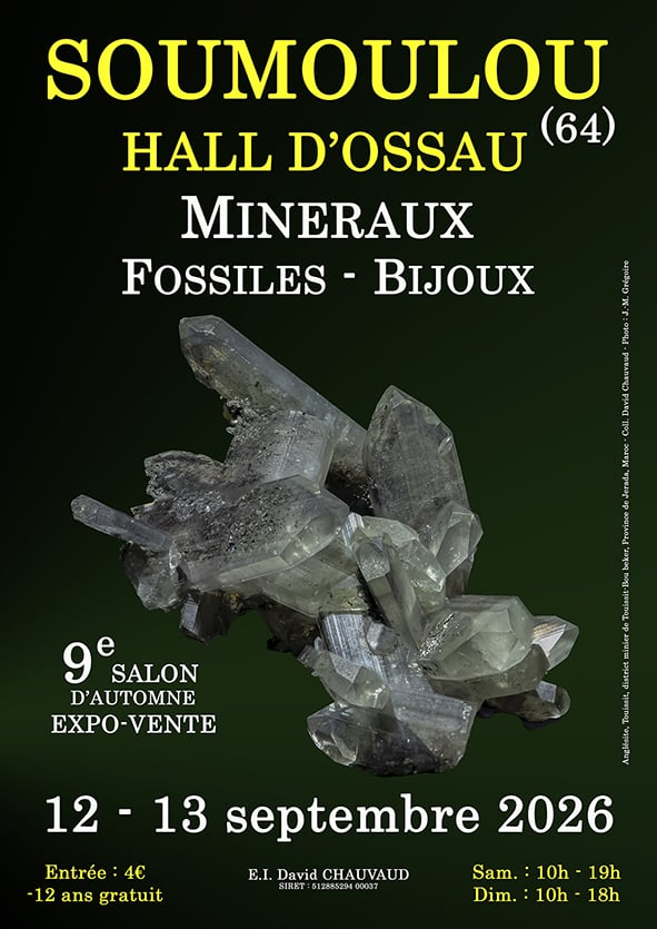 9ª Feria de Minerales, Fósiles y Joyería
