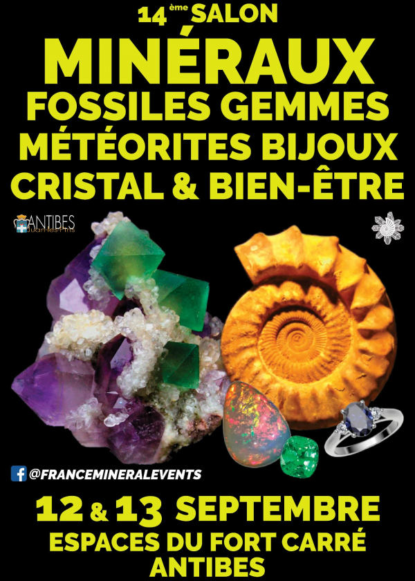 XIV Feria de Minerales de Antibes