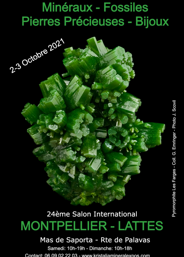 24a feria internacional de joyería de minerales fósiles