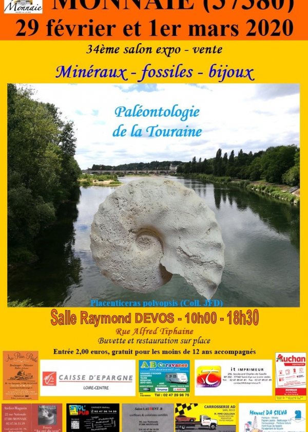 34 feria de minerales y fósiles