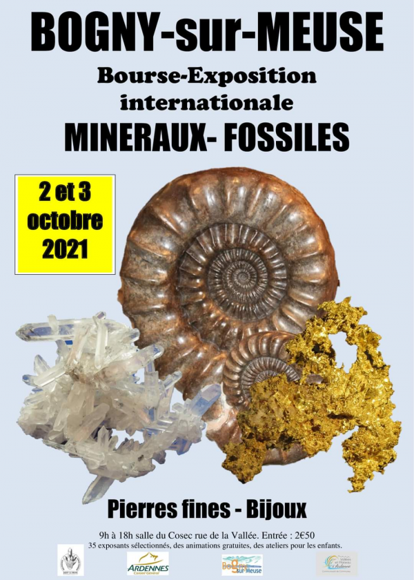 Beca de exposición internacional de minerales fósiles