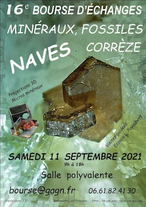 XVI intercambio de minerales, fósiles y micromontajes