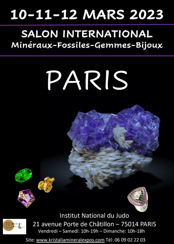 Feria de Minerales, Fósiles y Piedras Preciosas, Paris Institut du Judo