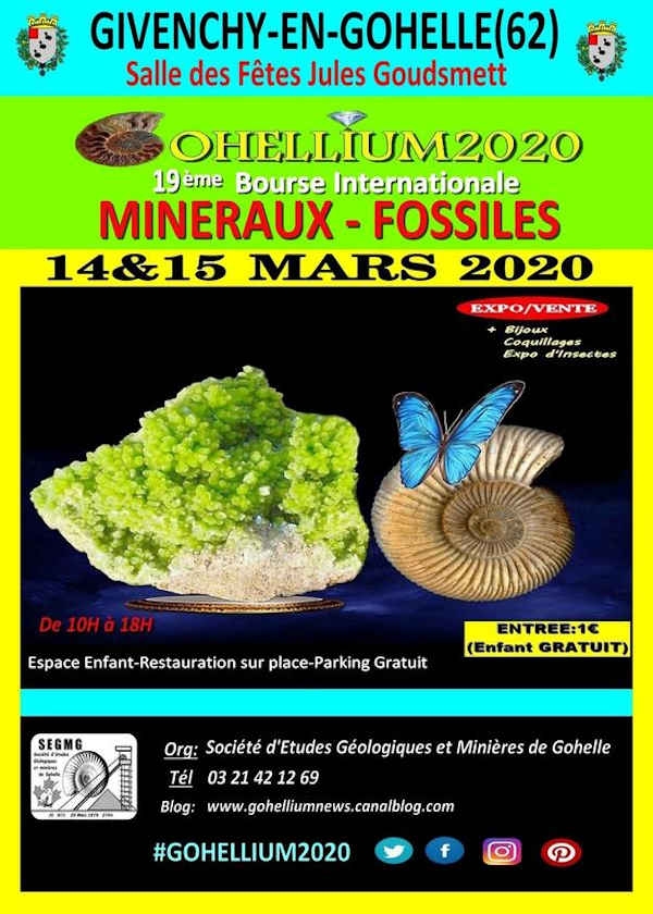 19 ° Intercambio internacional Gohellium 2020 de minerales fósiles