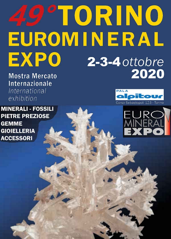49a Exposición Euro Mineral de Turín